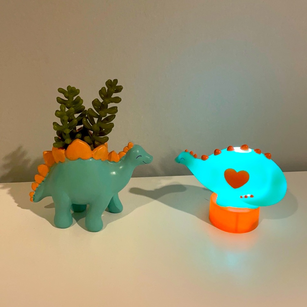 Dinosaur succulent w/ matching nightlight